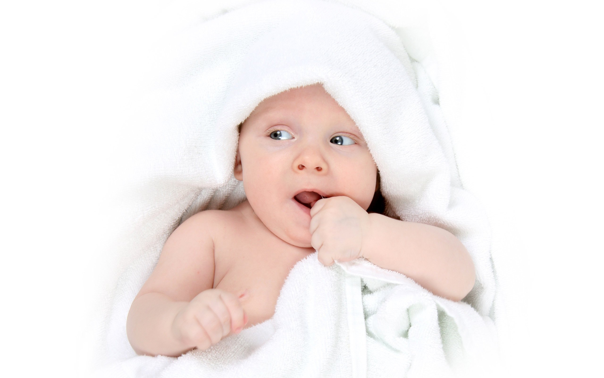 借卵机构试管婴儿冻胎成功率
